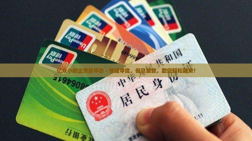 亿众小微企贷款平台