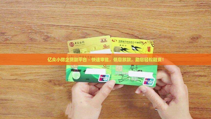 亿众小微企贷款平台