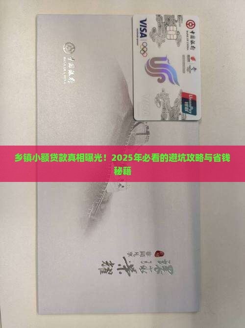 乡镇小额贷款情况说明