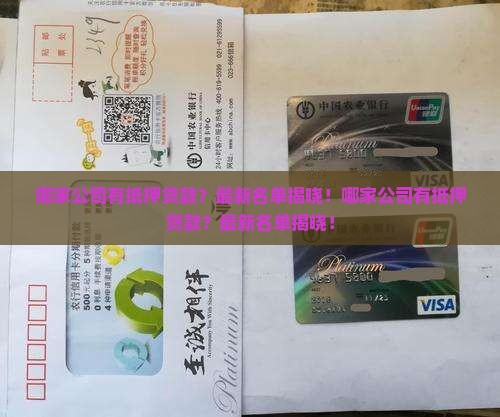 哪家公司有抵押贷款