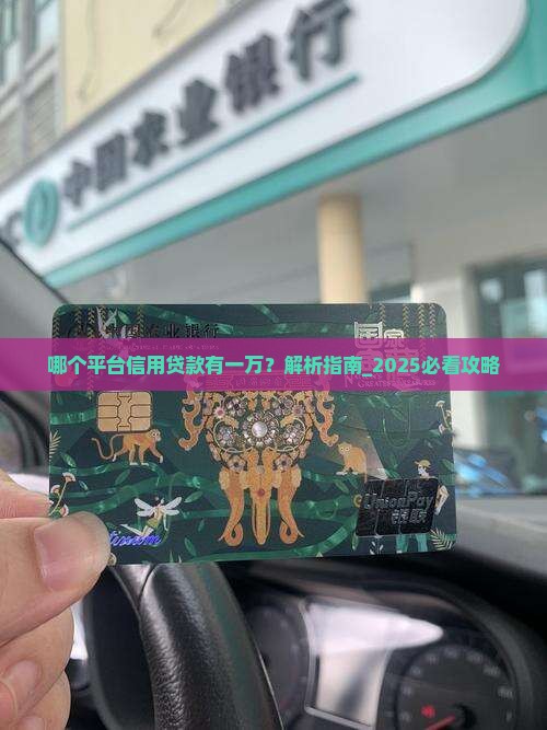 哪个平台信用贷款有一万