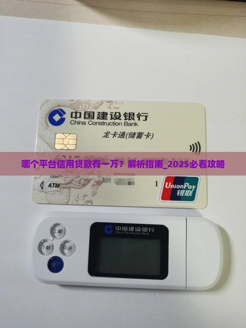哪个平台信用贷款有一万