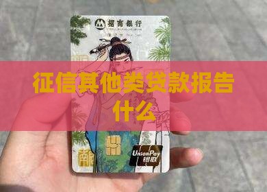 征信其他类贷款4