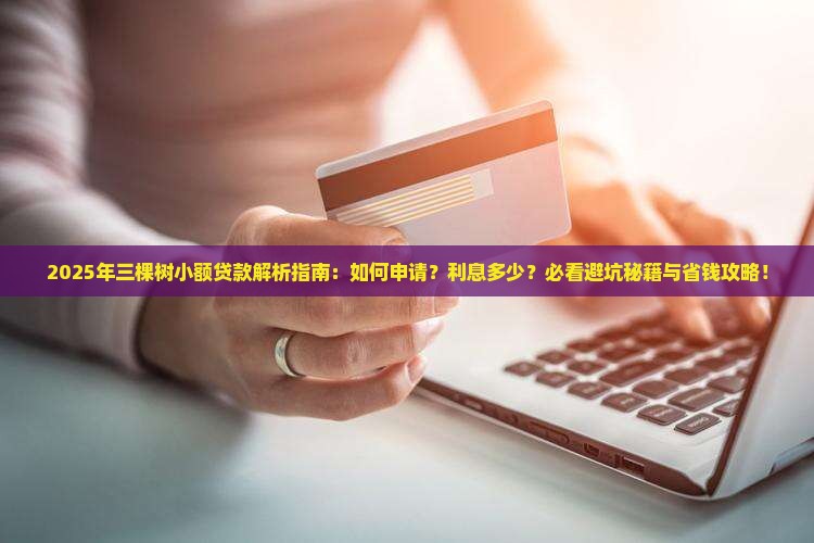三棵树小额贷款
