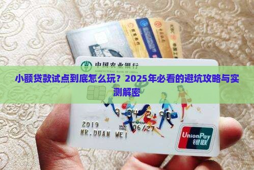小额贷款试点指导