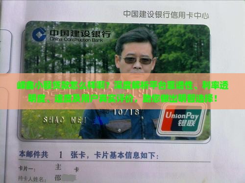 嵘鑫小额贷款怎么样啊