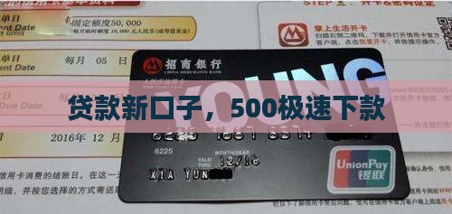 500极速贷款的新口子