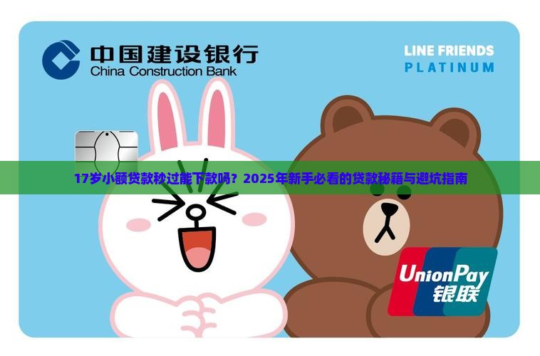 17岁小额贷款秒过能下款吗