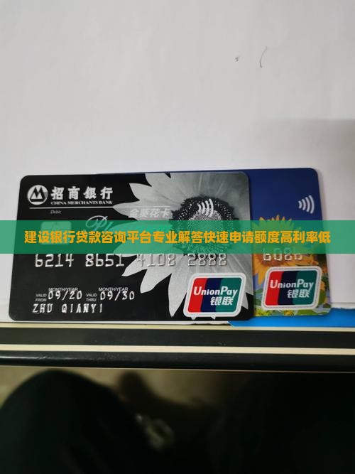 建设银行贷款咨询平台