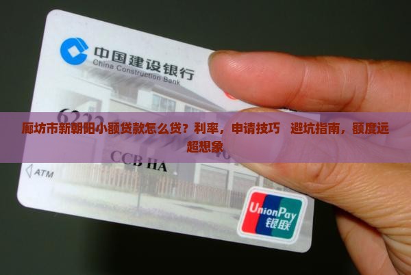 廊坊市新朝阳小额贷款