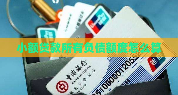 小额贷款总负债怎么算