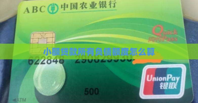 小额贷款总负债怎么算