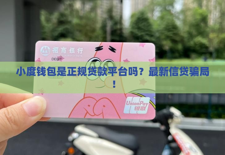 小度钱包是什么贷款平台