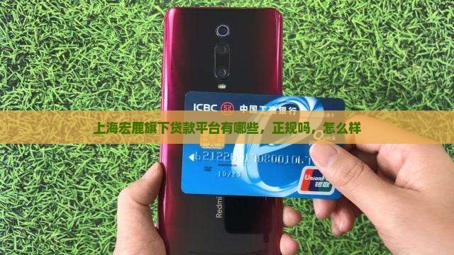 上海宏鹿旗下贷款平台