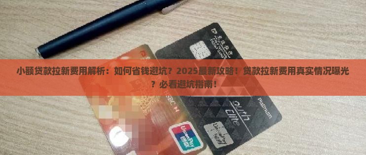 小额贷款拉新费用