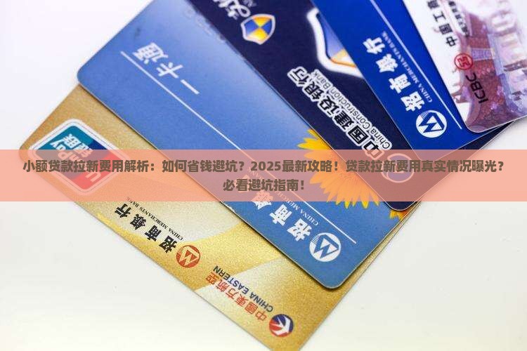 小额贷款拉新费用