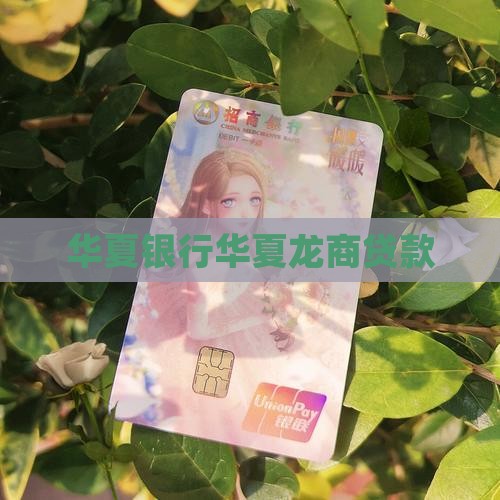 华夏银行龙商贷款