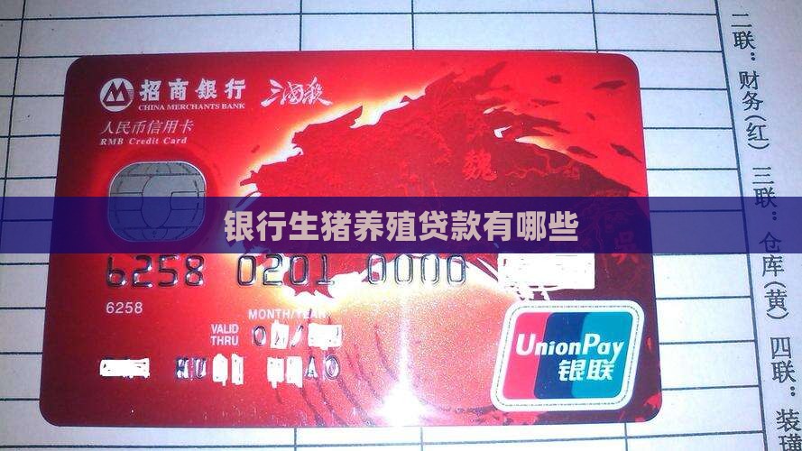 养猪贷款有哪些银行