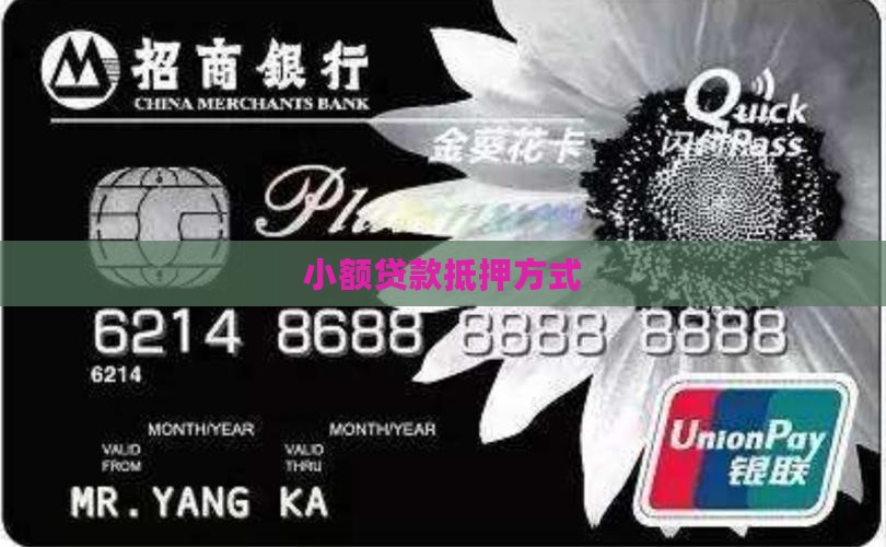 小额贷款抵押方式