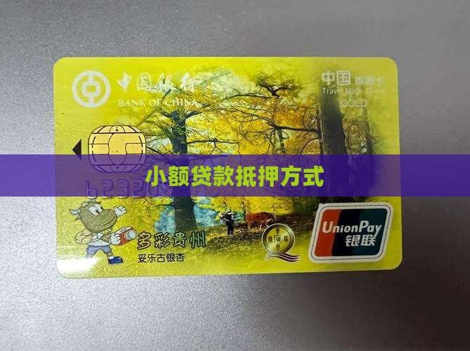 小额贷款抵押方式