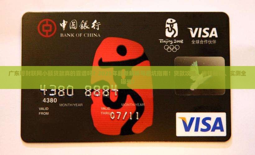 广东粤财联网小额贷款