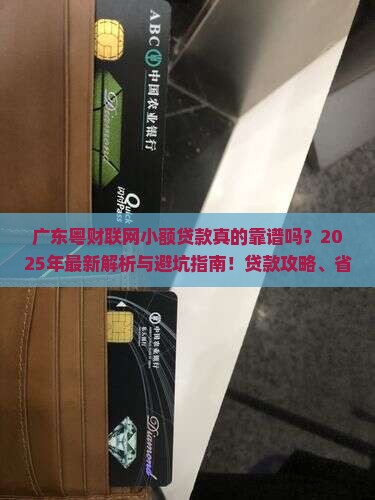 广东粤财联网小额贷款