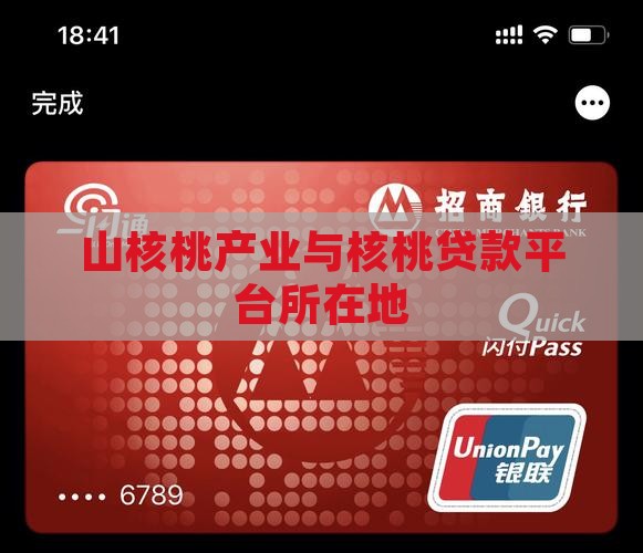 山核桃贷款平台所在地