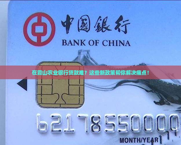 在霞山农业银行贷款