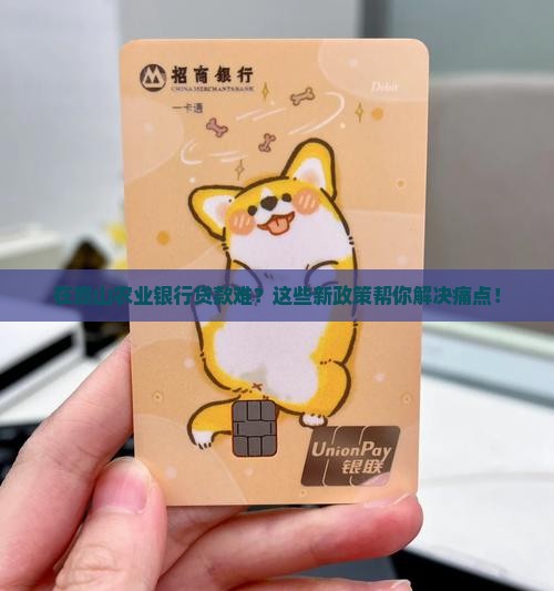 在霞山农业银行贷款