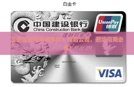 富贵宝贷款是哪个公司的
