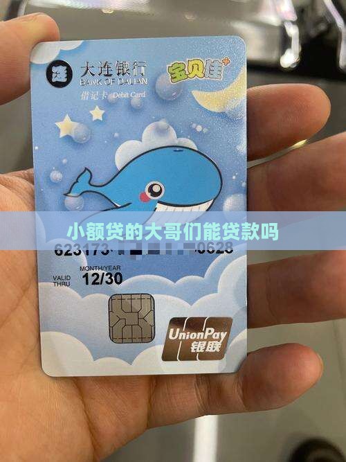 小额贷的大哥们能贷款吗