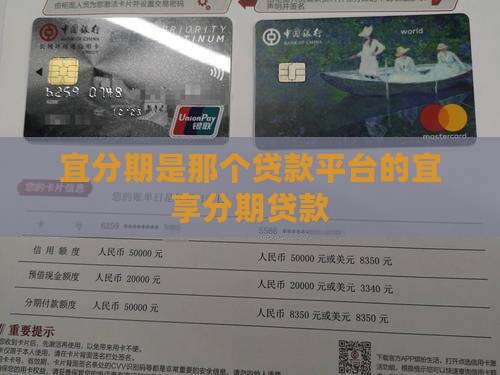 宜分期是那个贷款平台的