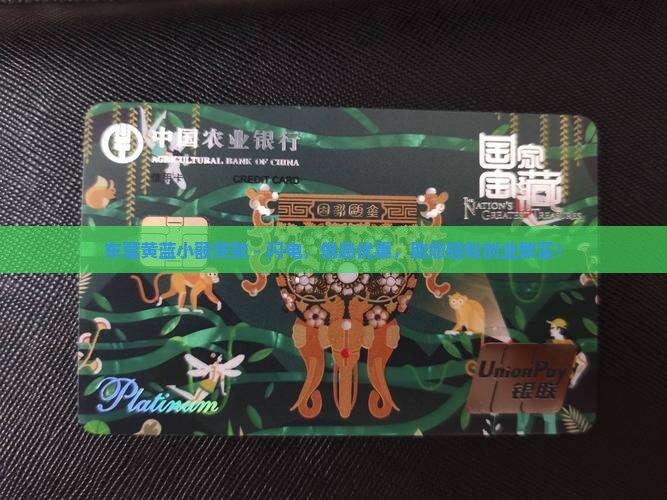 东营黄蓝小额贷款