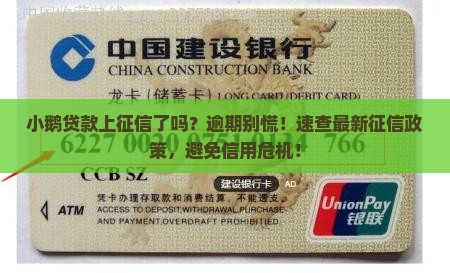 小鹅贷款上征信了吗