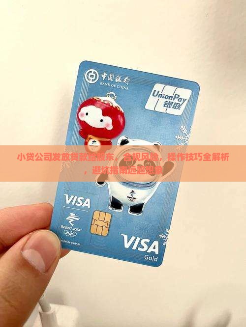 小贷公司发放贷款给股东
