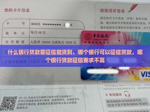 什么银行贷款靠征信能贷