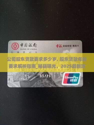 公司股东贷款要求多少岁
