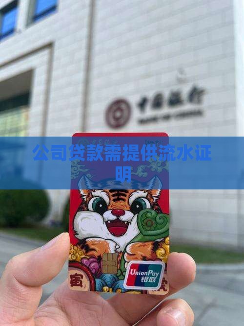 公司贷款用出纳流水