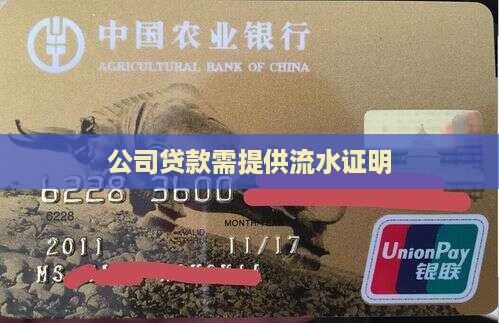 公司贷款用出纳流水