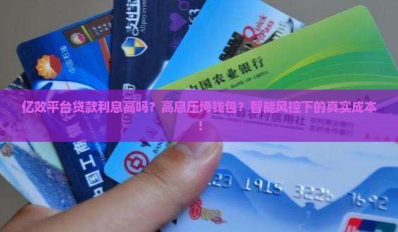 亿效平台贷款利息高吗