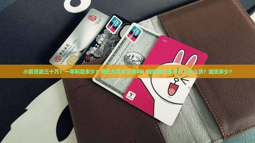 小额贷款三十万