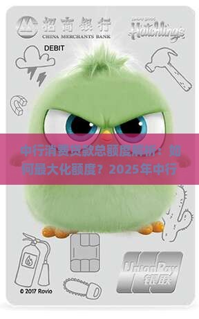 中行消费贷款总额度