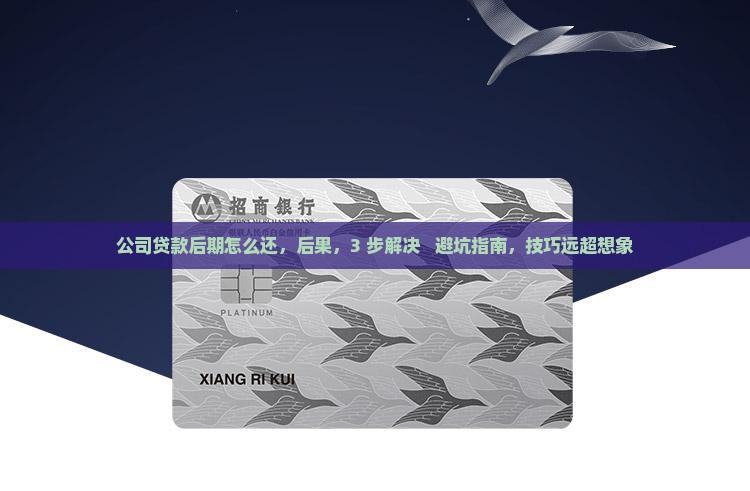 公司贷款后期怎么还