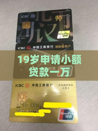 19岁小额贷款1万