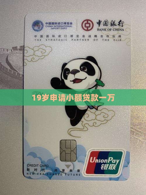 19岁小额贷款1万