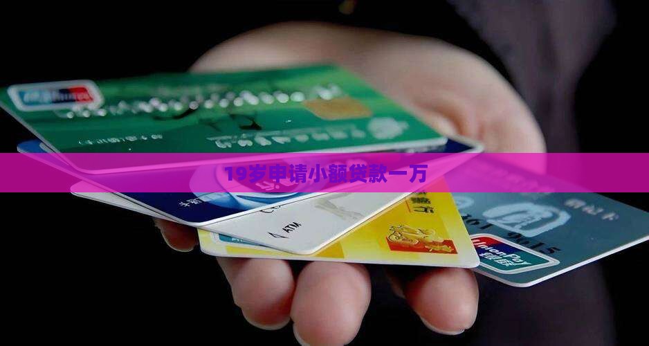 19岁小额贷款1万