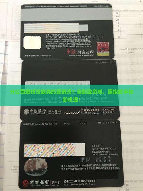 对分公司授权贷款