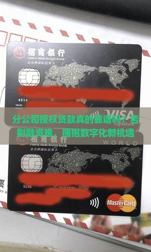对分公司授权贷款