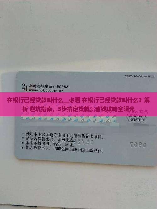 在银行已经贷款叫什么