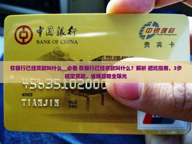 在银行已经贷款叫什么